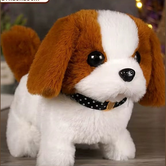 Moving Dog - Medaid International