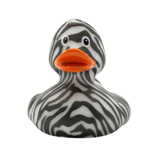like a zebra Duck - Medaid International