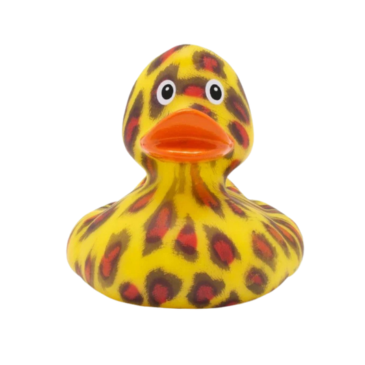 like a wild cat  Duck - Medaid International