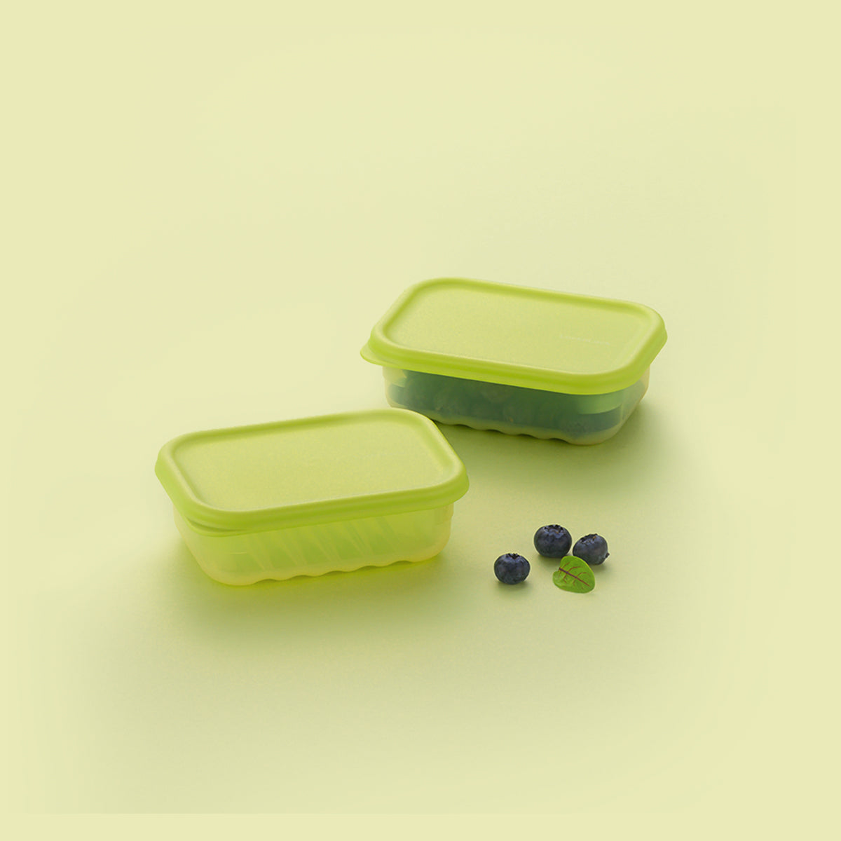 Fresh Block 330ml (Set of 2) 31 Days Food Saving - Medaid International