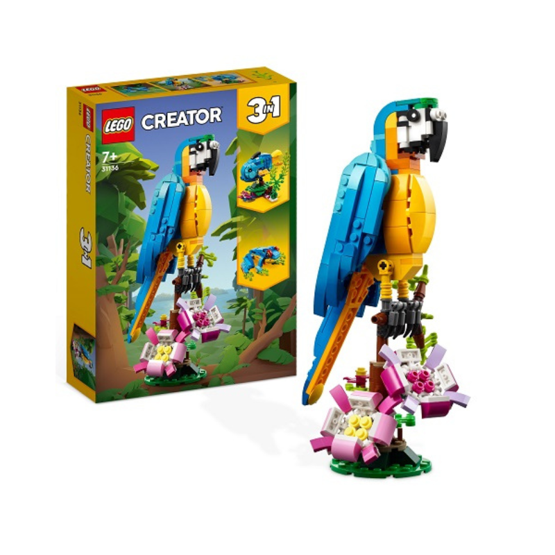 31136 Exotic Parrot - Medaid International