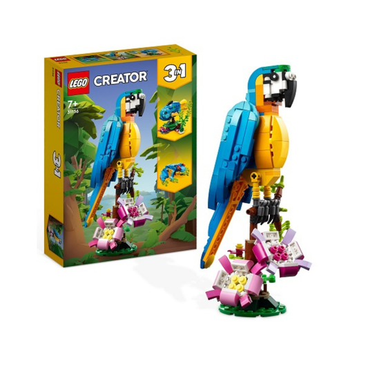 31136 Exotic Parrot - Medaid International