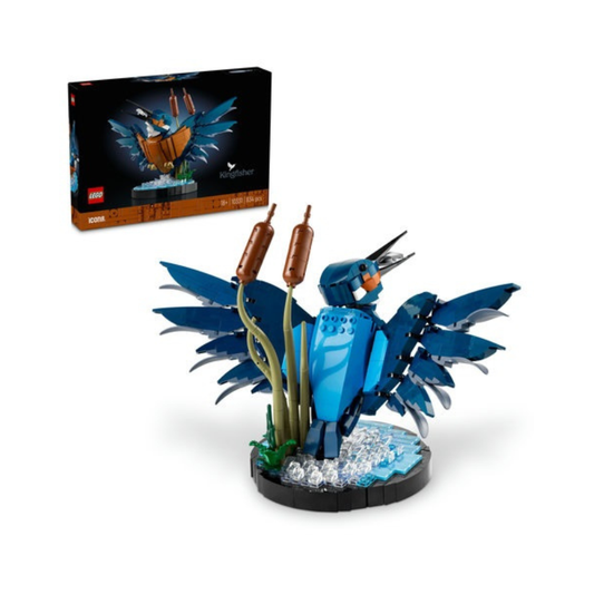 10331 Kingfisher Bird - Medaid International