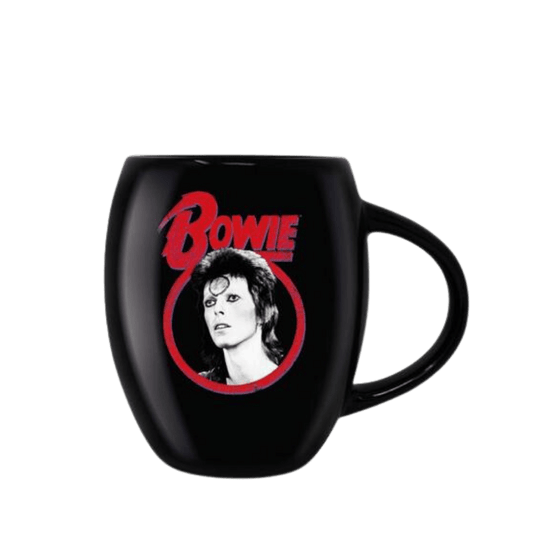 DAVID BOWIE ALADDIN SANE (OVAL MUG) By Pyramid - Medaid International