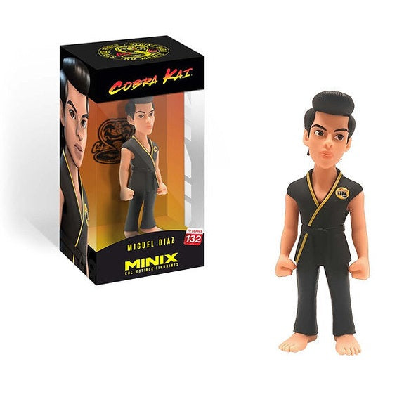 Miguel Diaz - Cobra Kai - Medaid International