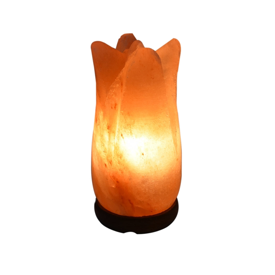 Natural Himalayan Salt Lamp Lotus - Medaid International