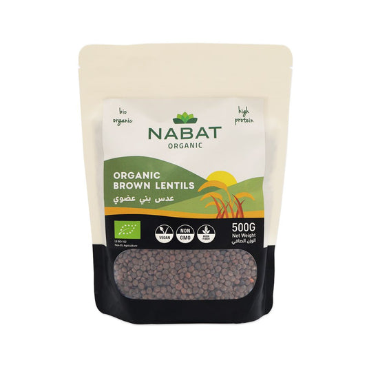 Organic Brown Lentils - Medaid International
