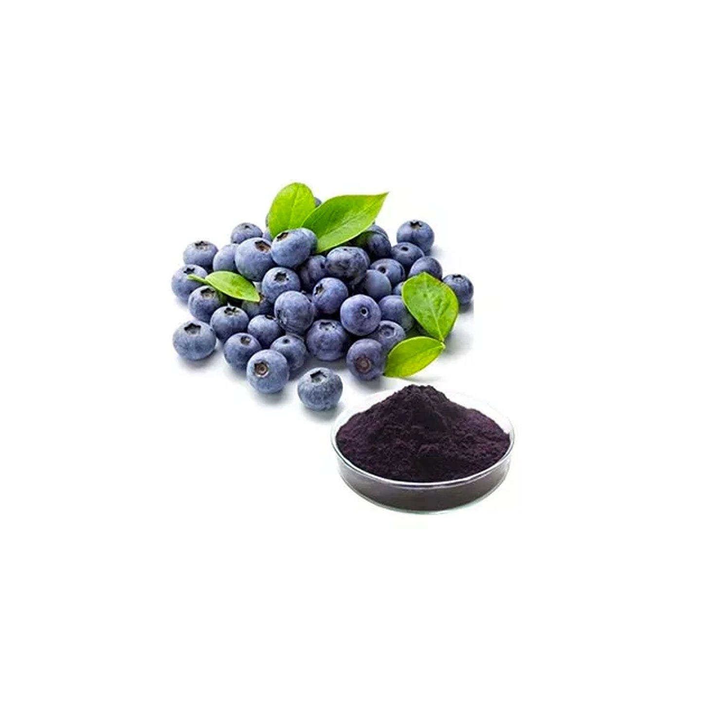 HERBATY ORGANIC BILBERRY POWDER - Medaid International