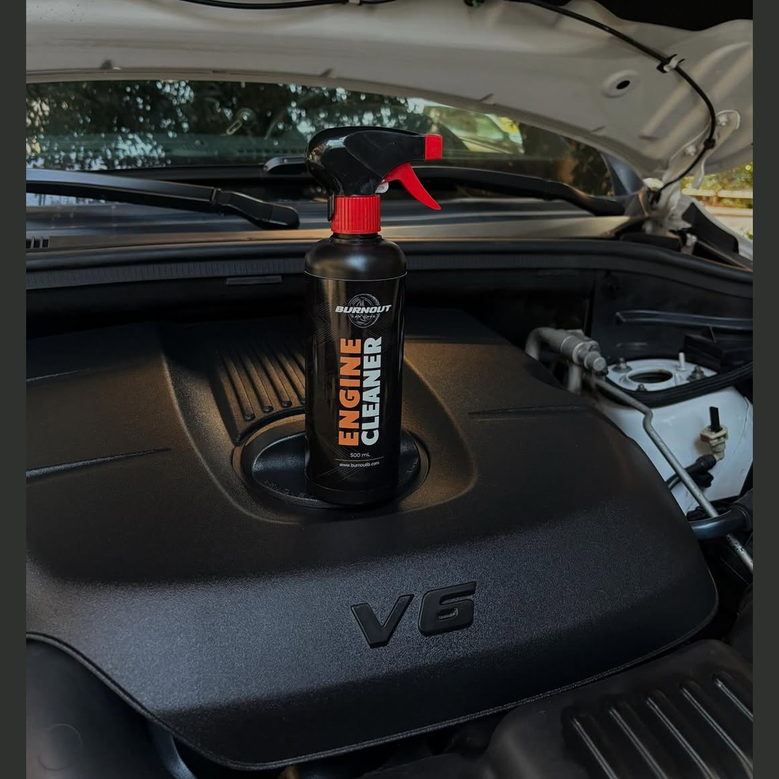 Engine Cleaner 500ml - Medaid International