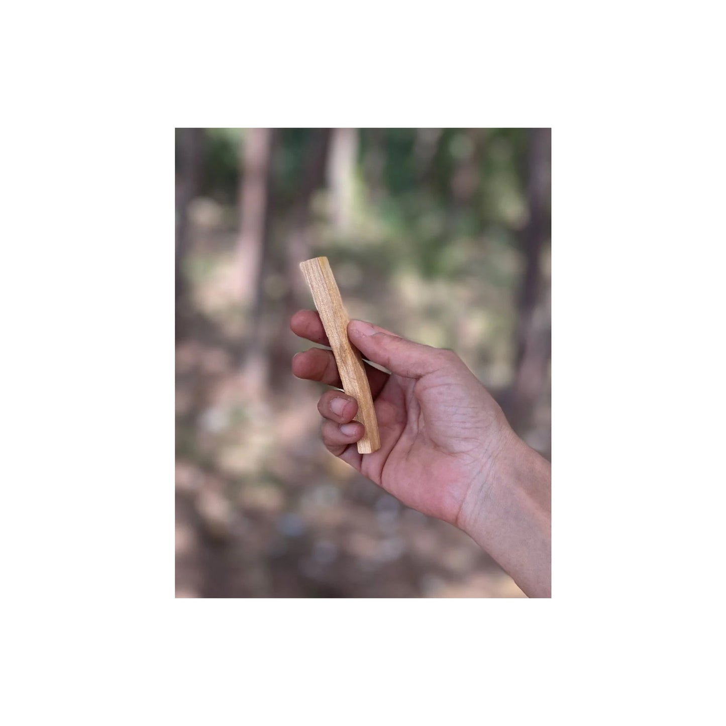 SACRED PALO SANTO - Medaid International