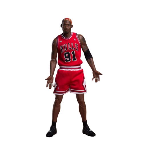 NBA Basketball - Dennis Rodman 1/6th Scale Action Figure By Enterbay - Medaid International