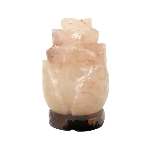 Himalayan Lamp Rose Salt Shape - Medaid International