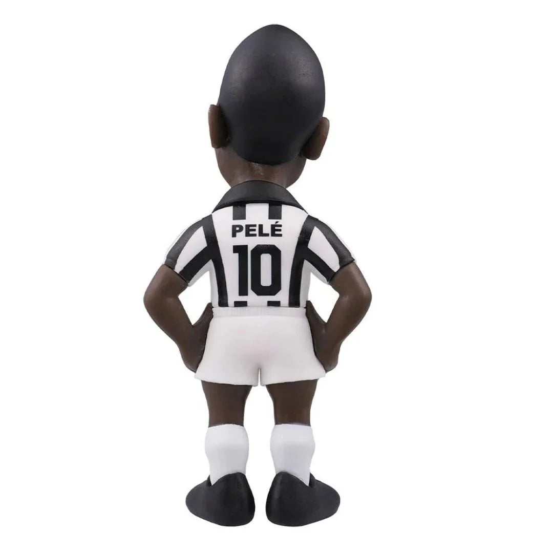 Pele Santos - Medaid International