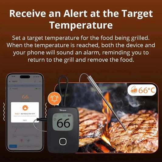 Sonoff BBQ Meat Thermometer | BMT01 - Medaid International