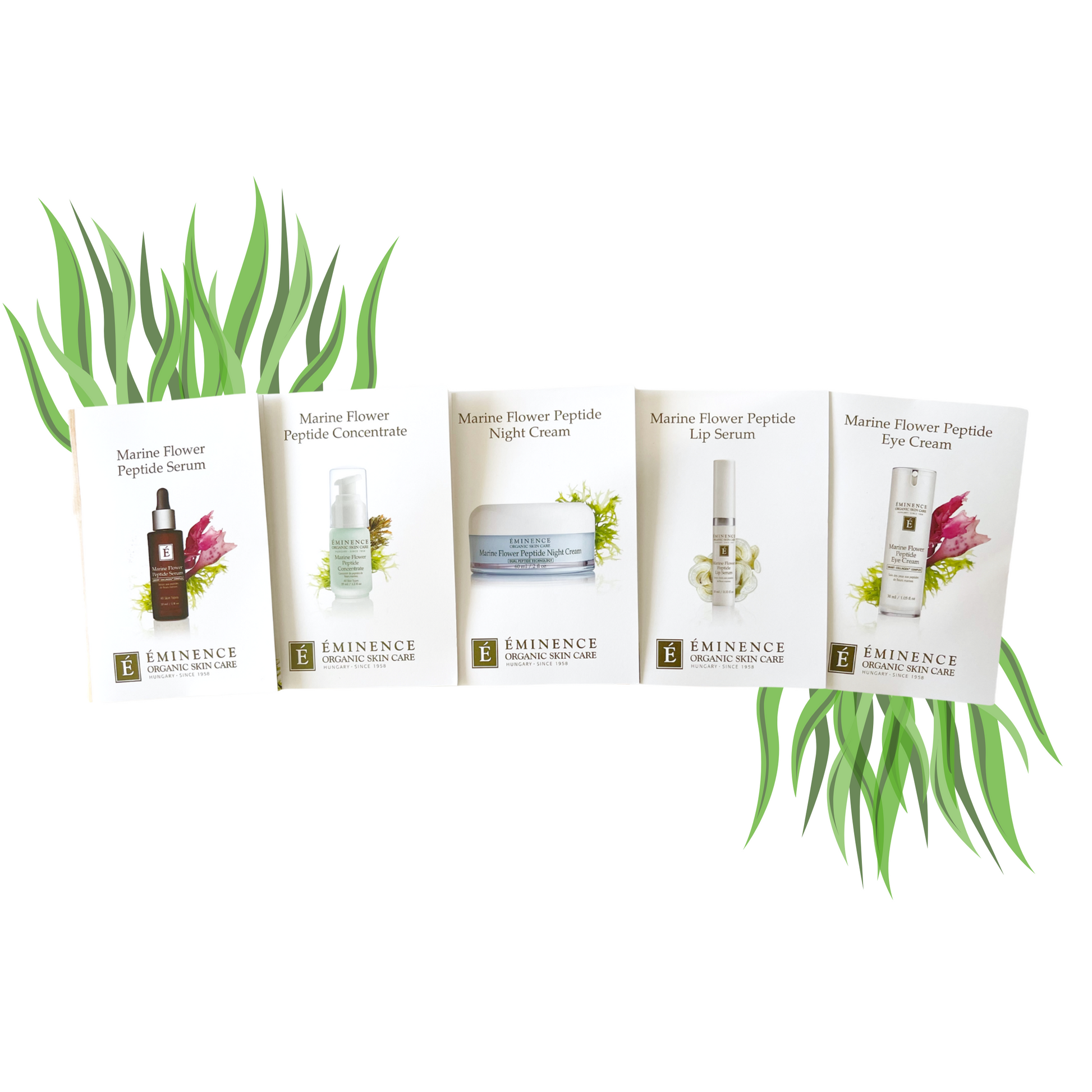 Eminence Marine Flower Peptide Sample Kit - Medaid International