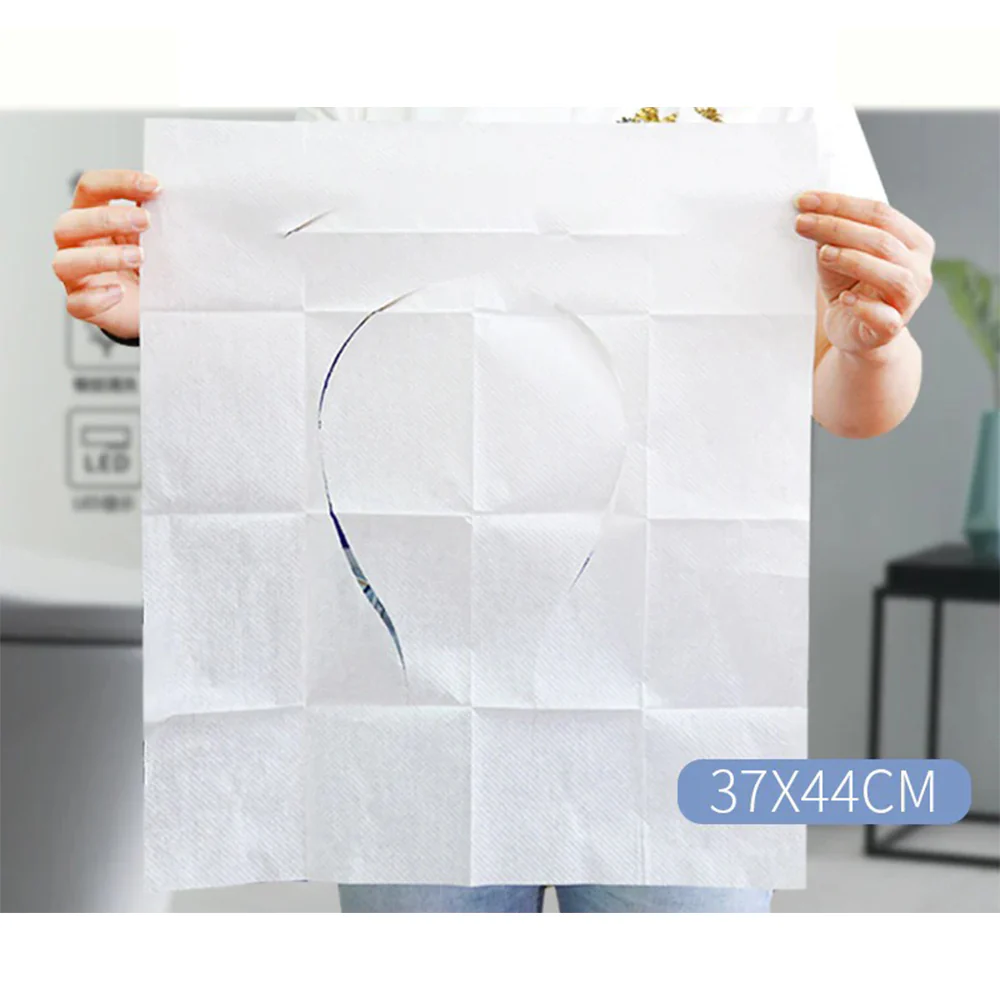 10 Pcs Disposable Anti-bacterial Toilet Paper - Medaid International