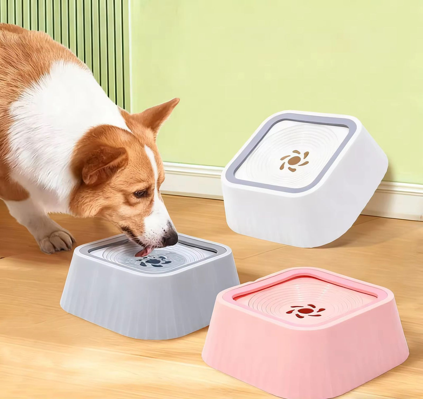 Pet Water Bowl