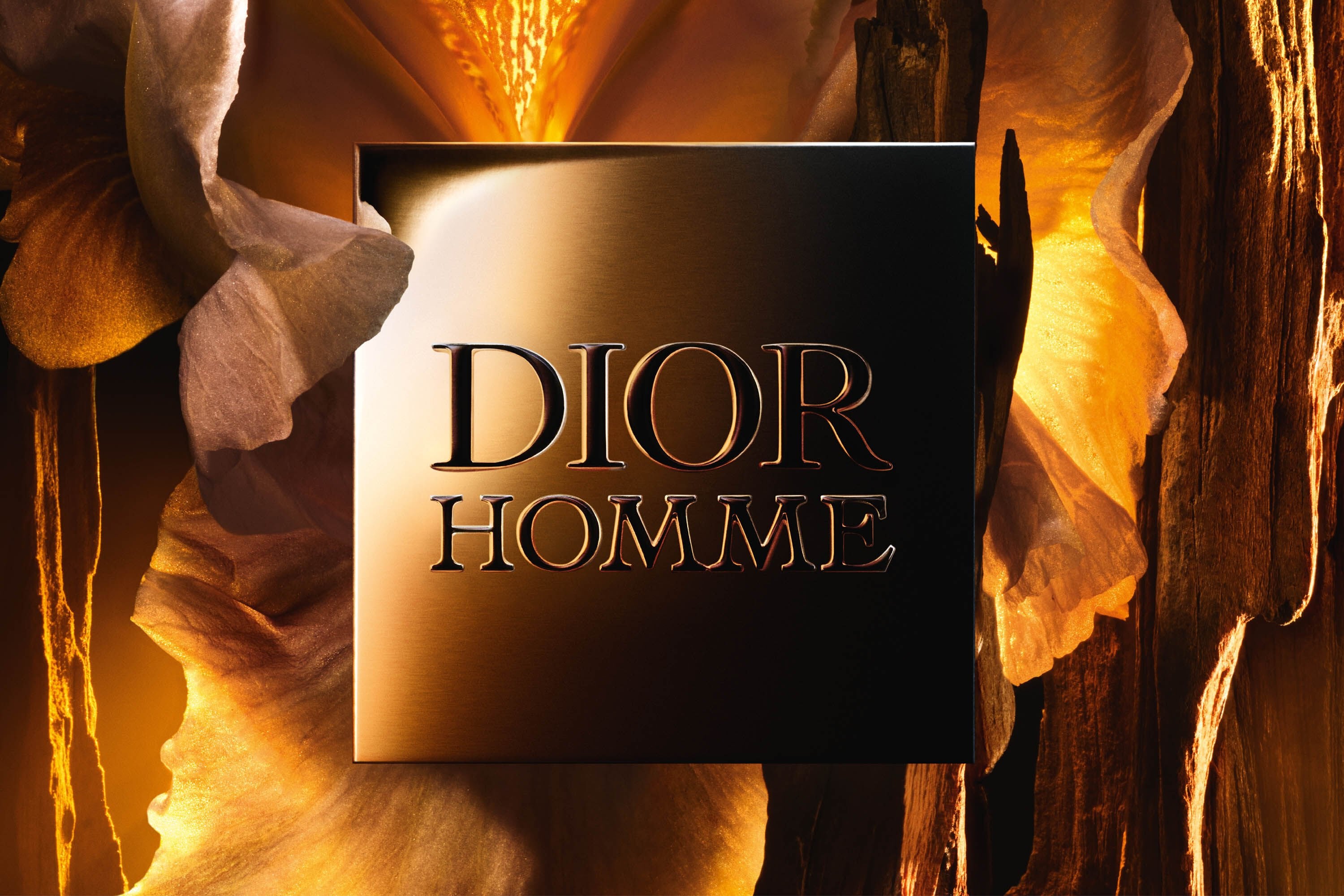 香水(男性用) Dior Homme PARFUM Dior Homme Parfum for Men by Christian Dior 3.4 oz (75ml