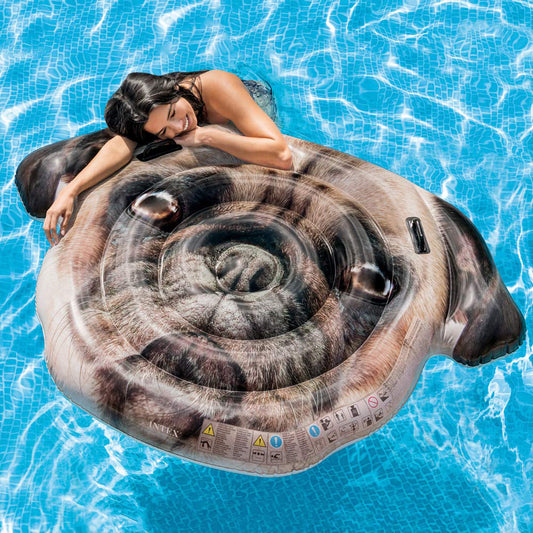 Pug Face Island 173Cm X 130Cm - Medaid International