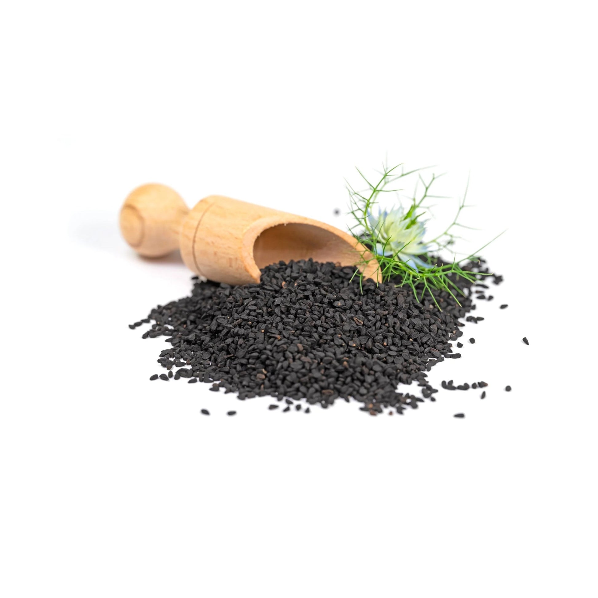 NATURAL BALCK SEED - Medaid International