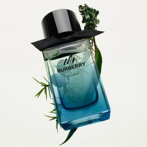 Burberry Mr Burberry Element Eau De Toilette For Men