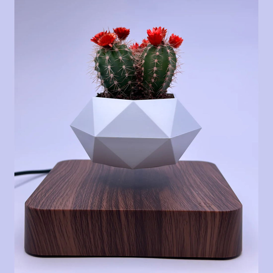 Floating Flower Pot