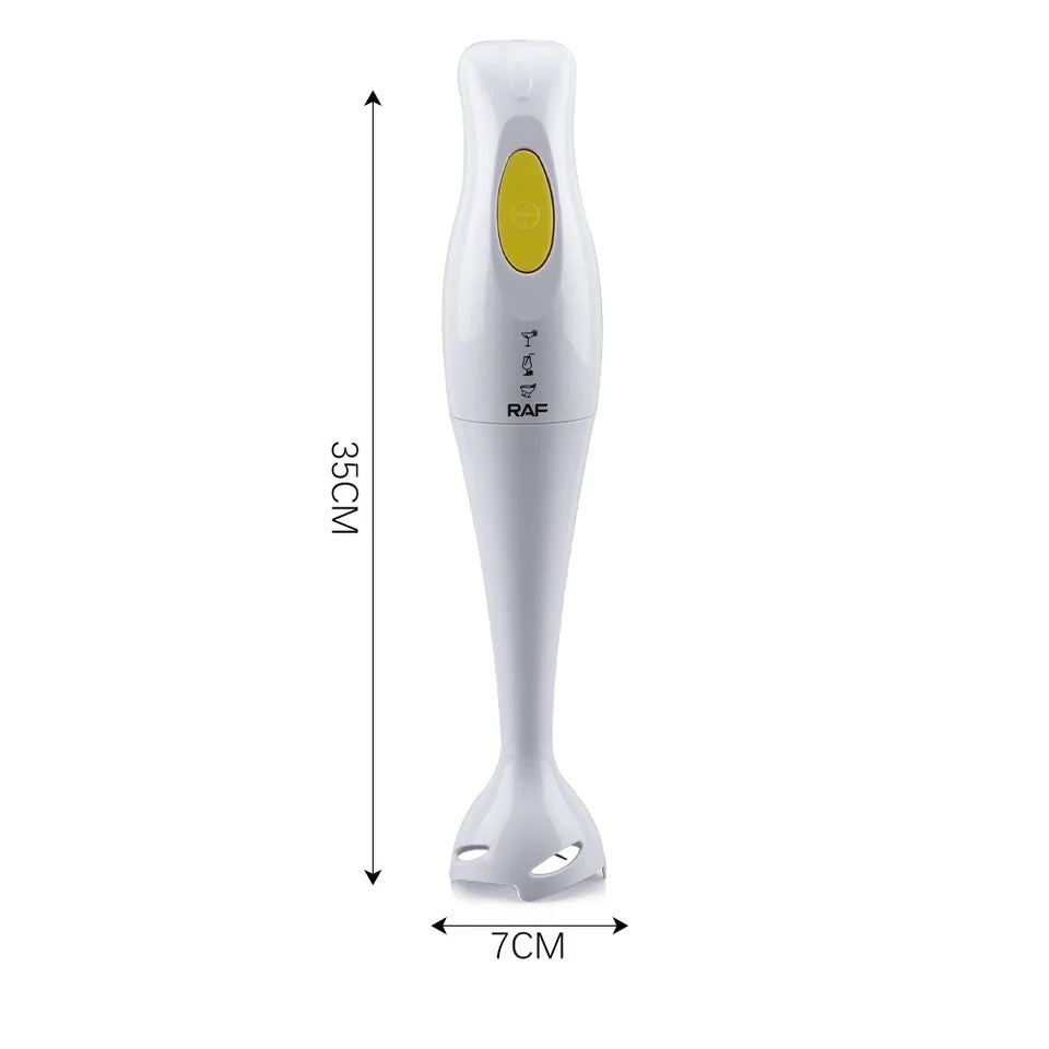 Raf Hand Blender 300W R255 R266 - Medaid International