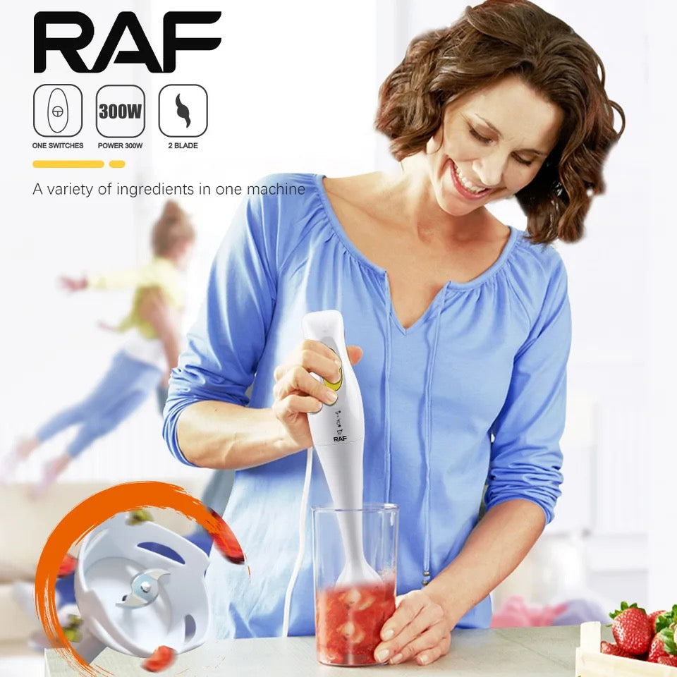 Raf Hand Blender 300W R255 R266 - Medaid International