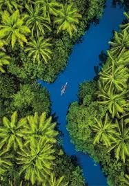 Puzzle 500 Pieces - Tropical Aerial View - Medaid International