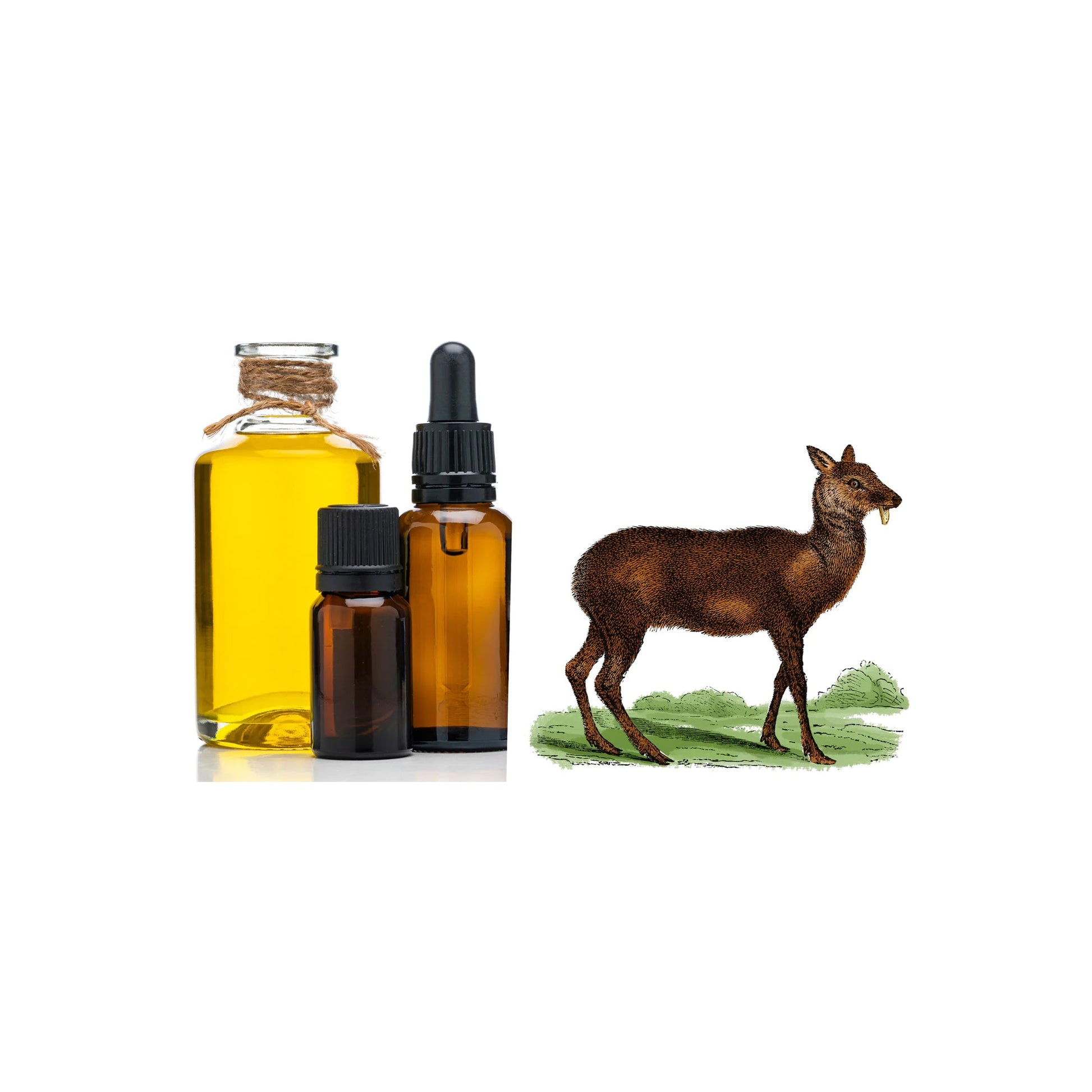 HERBATY ESSENTIAL OIL - MUSK - Medaid International