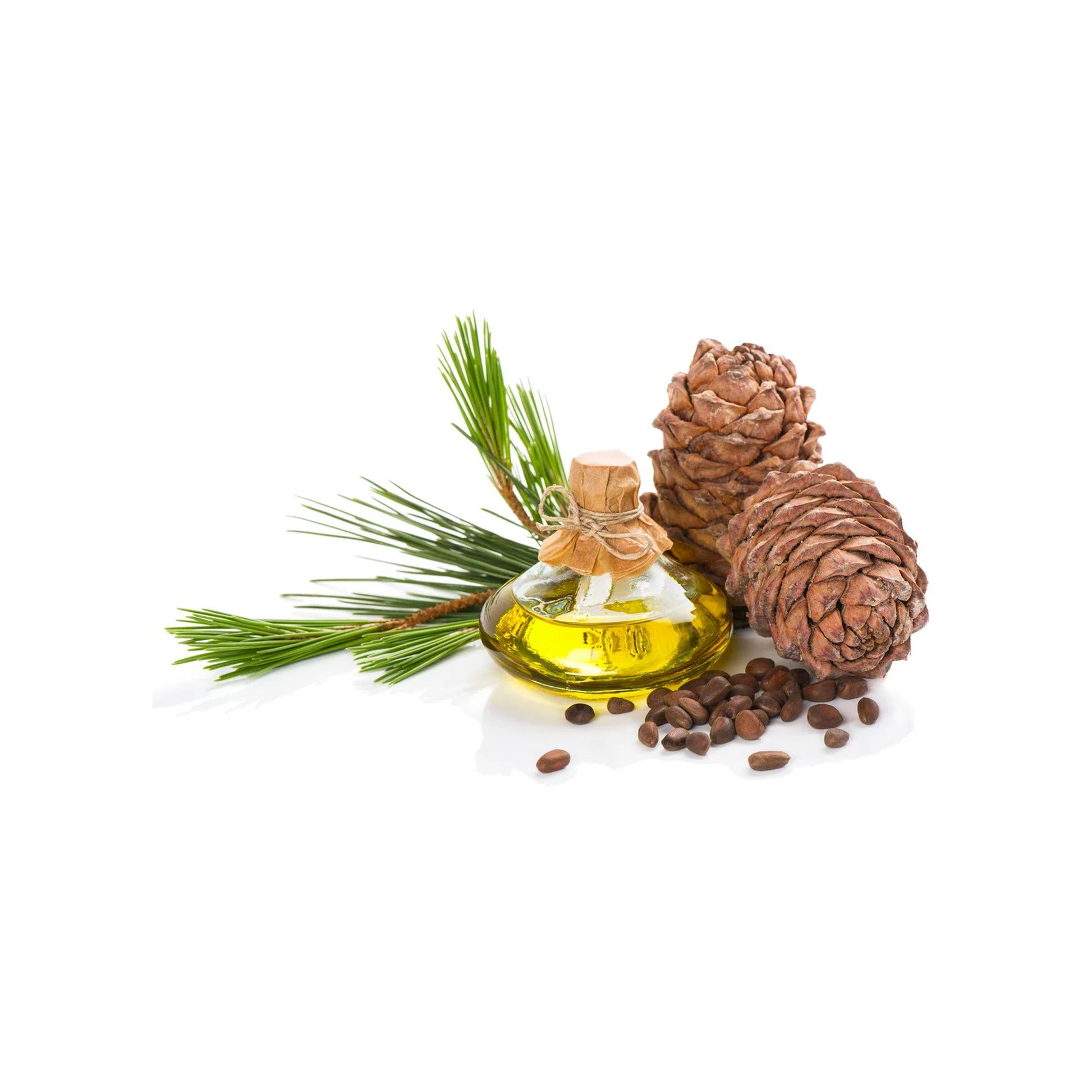 HERBATY ESSENTIAL OIL - PINE - Medaid International