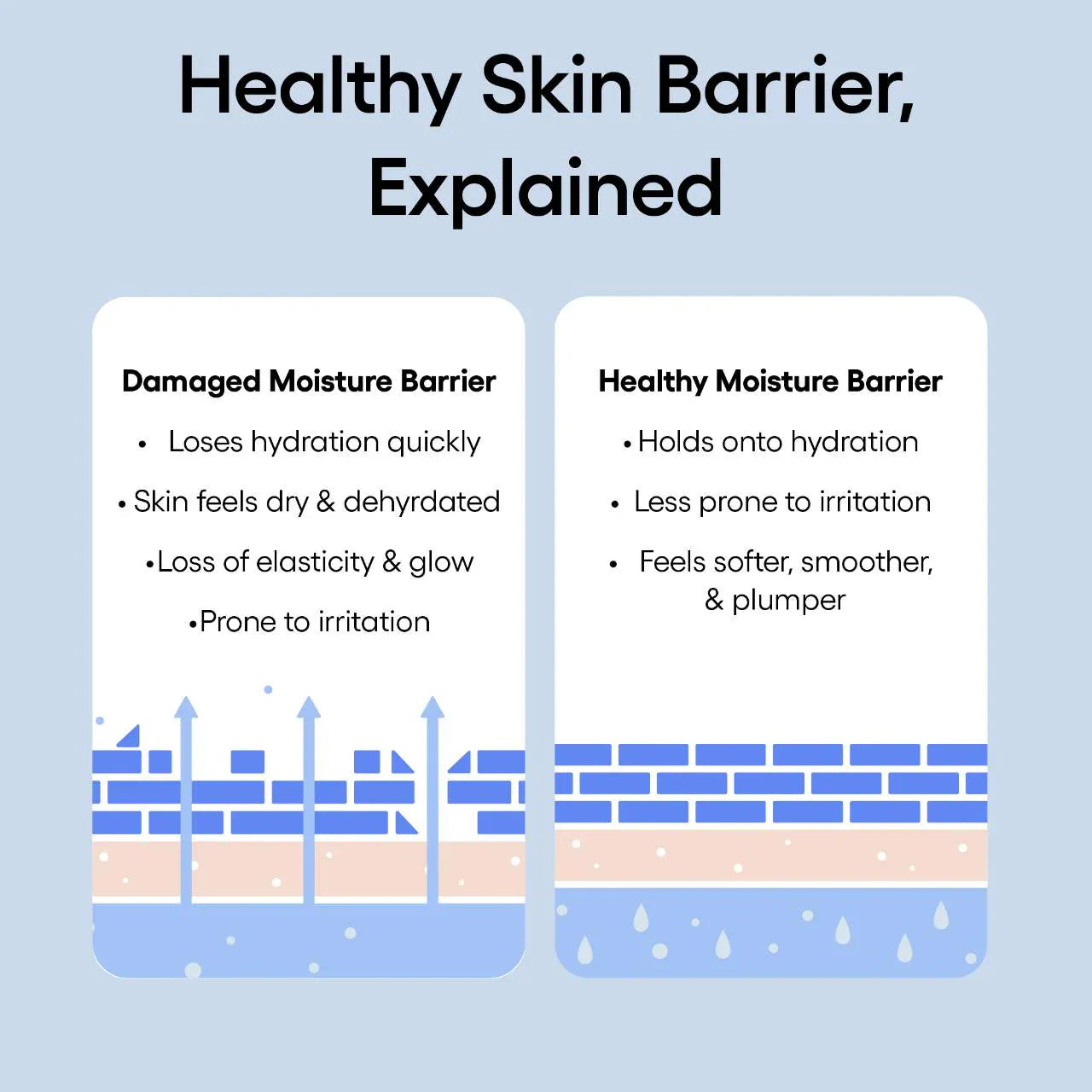 LANEIGE - Icons To Go Set - Medaid