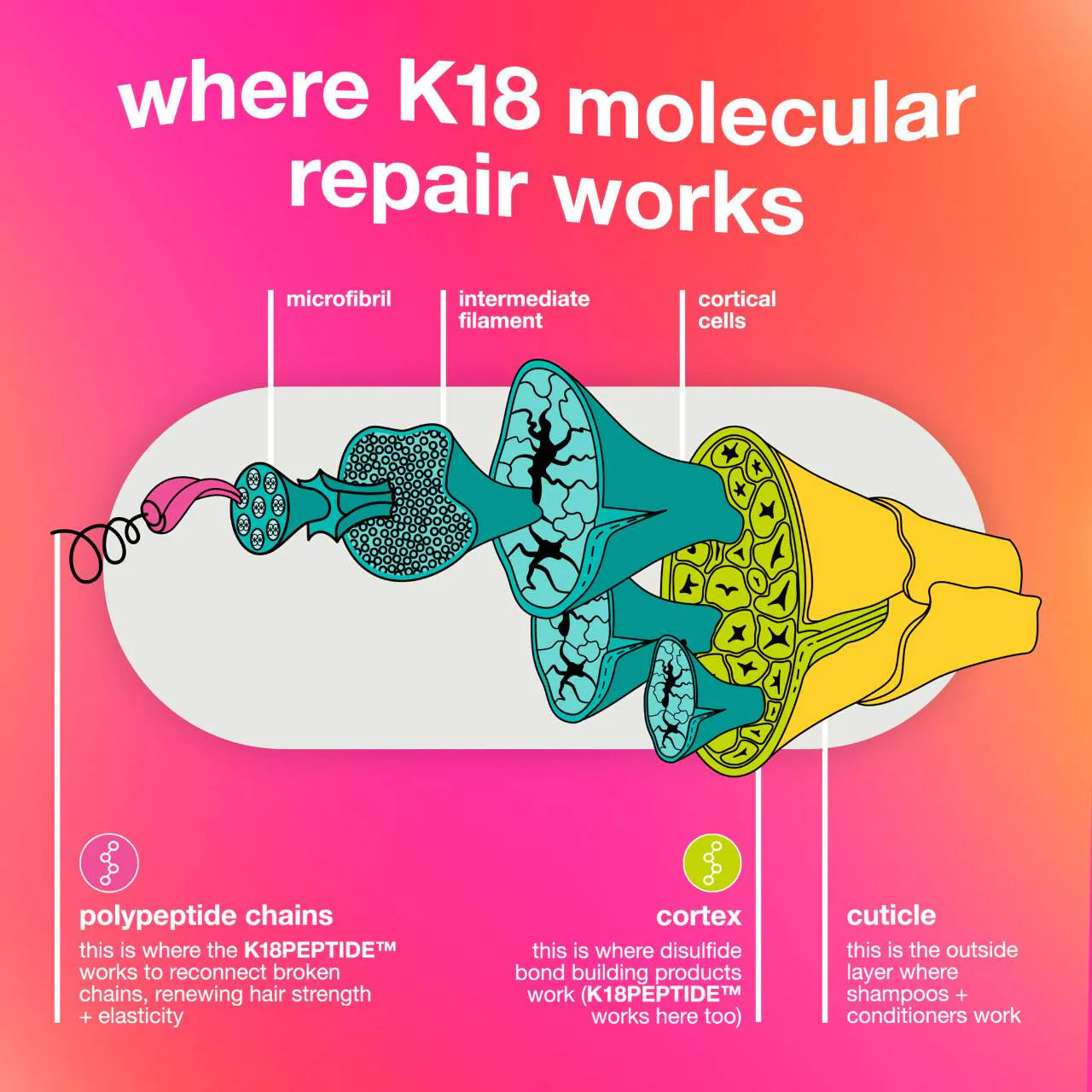 K18 Biomimetic Hairscience - Repair + Protect Mini's Hair Set - Medaid International