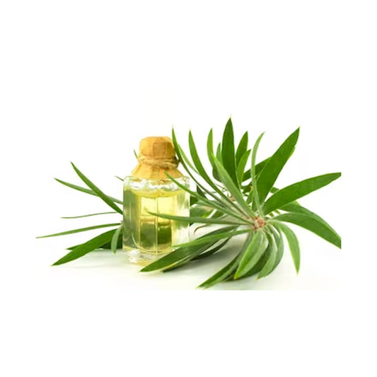 HERBATY ESSENTIAL OIL - TEA TREE - Medaid International