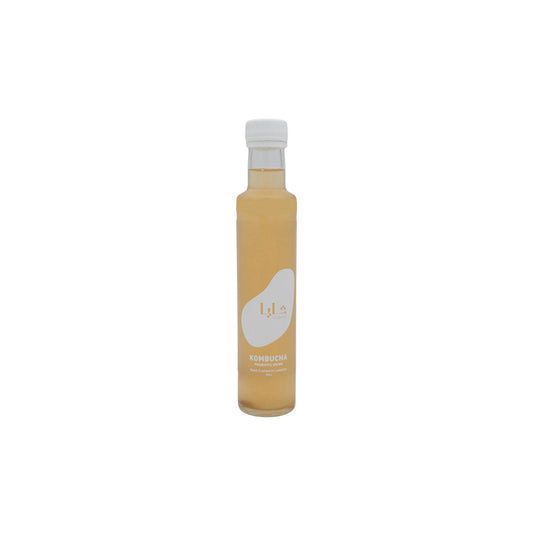 SHAYA KOMBUCHA - NATIVE GREEN 250ml - Medaid International